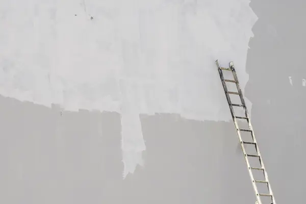 Exterior painting in Tampa: ladder against a freshly primed wall